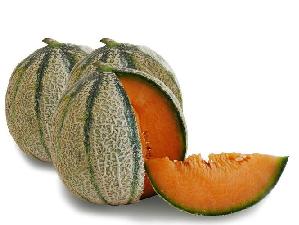 Melone di Pachino Igp, bilancio della stagione commerciale